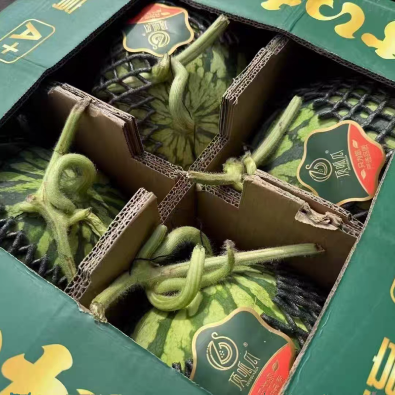 （麒麟西瓜）美都西瓜/河南西瓜/产地直发/保质保量发货