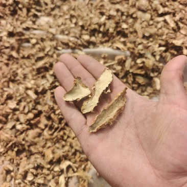 知母片，毛知母片知母统个，零售批发初级农产品