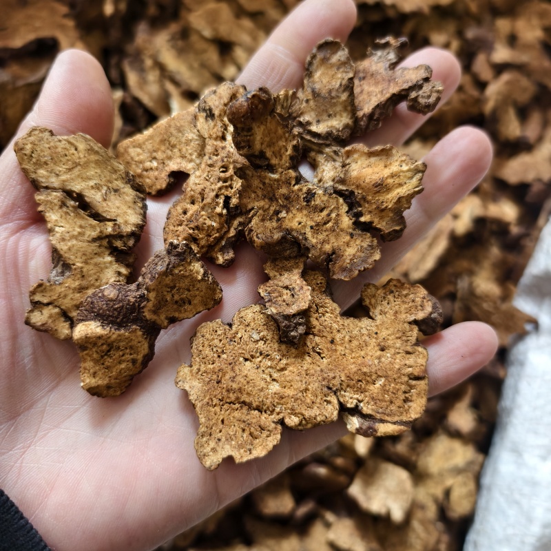 苍术炒苍术炒苍术统货产地吉林省紫轩堂药业