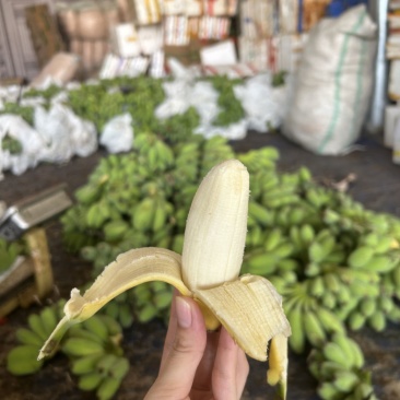 苹果蕉一件代发无催熟口感粉糯电商供货稳定