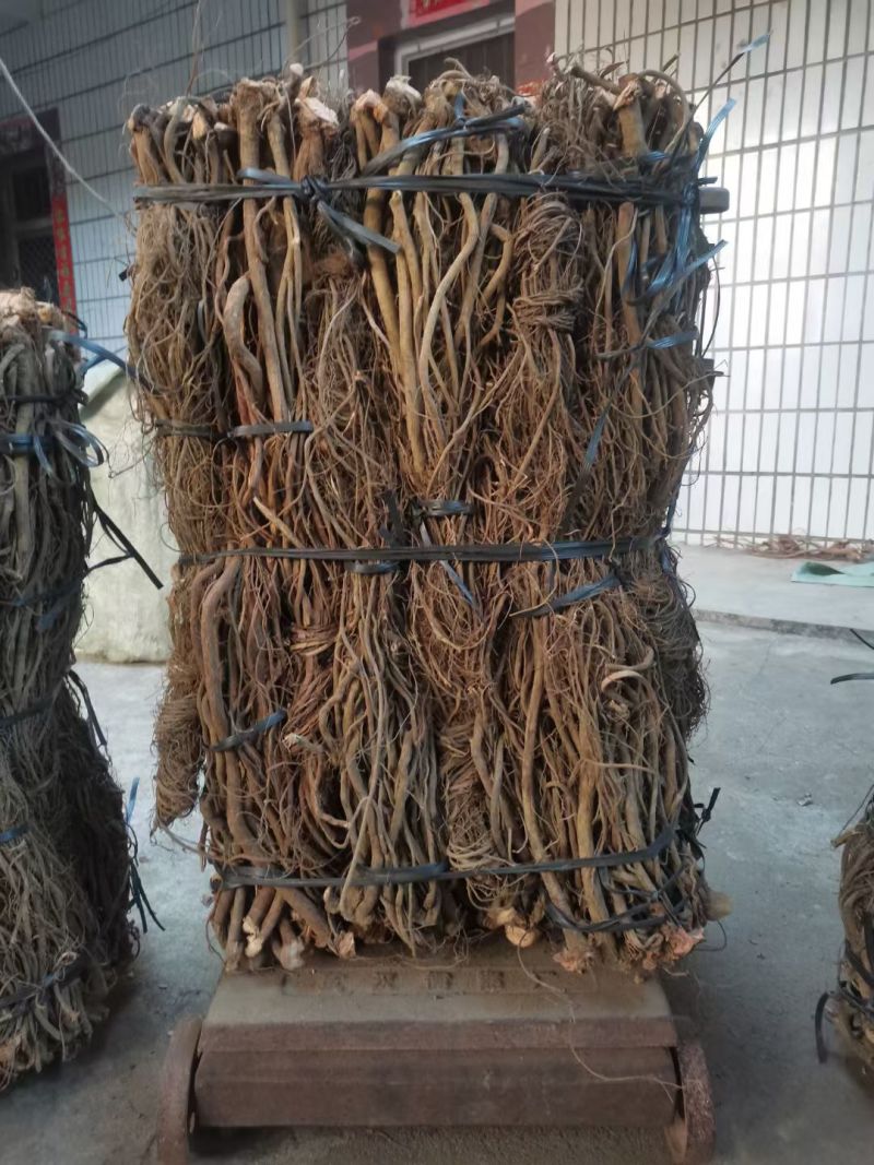 醉【毒】鱼藤根，粉