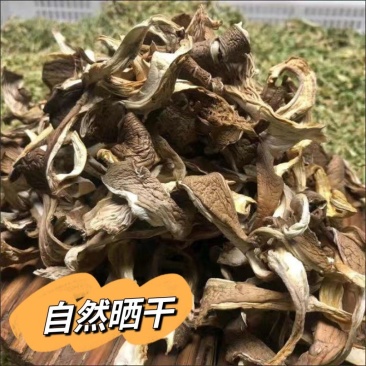 平菇丝新鲜蘑菇干菌菇类凤尾菇好食平干蘑菇农家干货一整箱