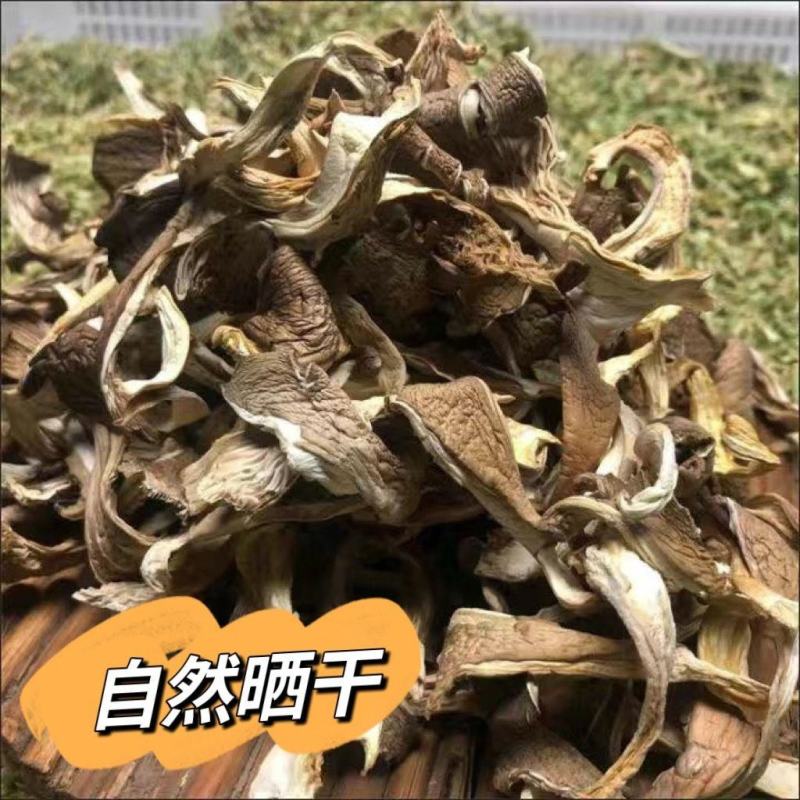 平菇丝新鲜蘑菇干菌菇类凤尾菇好食平干蘑菇农家干货一整箱