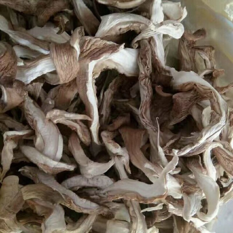 平菇丝新鲜蘑菇干菌菇类凤尾菇好食平干蘑菇农家干货一整箱