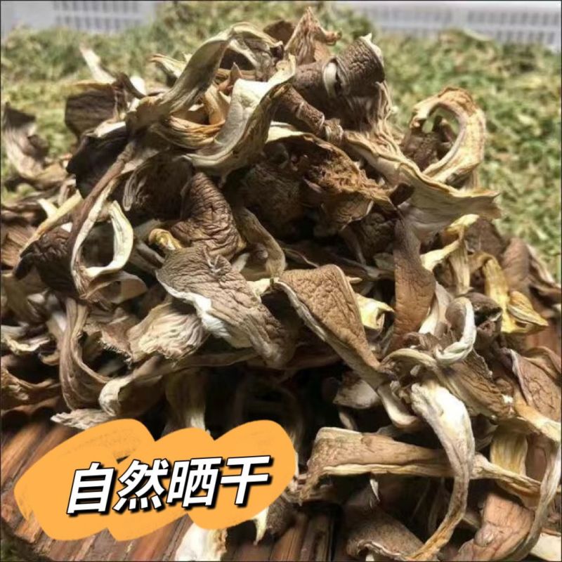 平菇丝新鲜蘑菇干菌菇类凤尾菇好食平干蘑菇农家干货一整箱