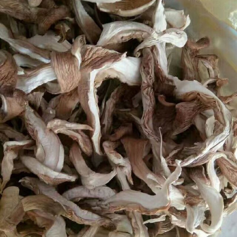 平菇丝新鲜蘑菇干菌菇类凤尾菇好食平干蘑菇农家干货一整箱