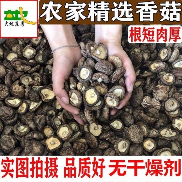 菌逸然农家香菇干货批发肉厚农家椴木小蘑菇新货食用菌商用菌