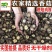菌逸然农家香菇干货批发肉厚农家椴木小蘑菇新货食用菌商用菌