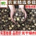 菌逸然农家香菇干货批发肉厚农家椴木小蘑菇新货食用菌商用菌