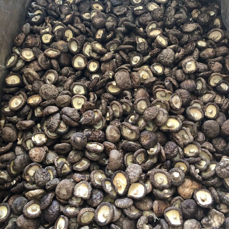 菌逸然农家香菇干货批发肉厚农家椴木小蘑菇新货食用菌商用菌
