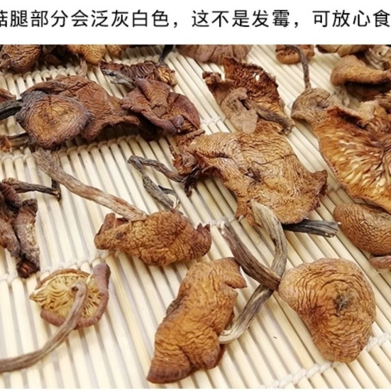 东北野生榛蘑干货榛蘑批发小鸡炖蘑菇吉林长白山干榛蘑丁野
