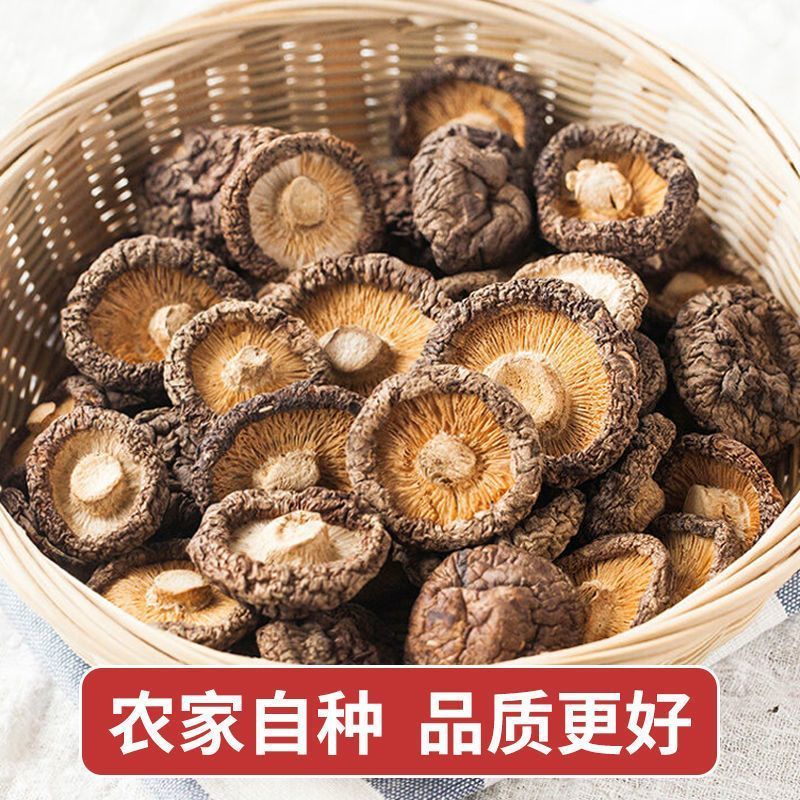 香菇无干燥剂肉厚香菇新货干香菇冬菇干蘑菇精选香菇短根