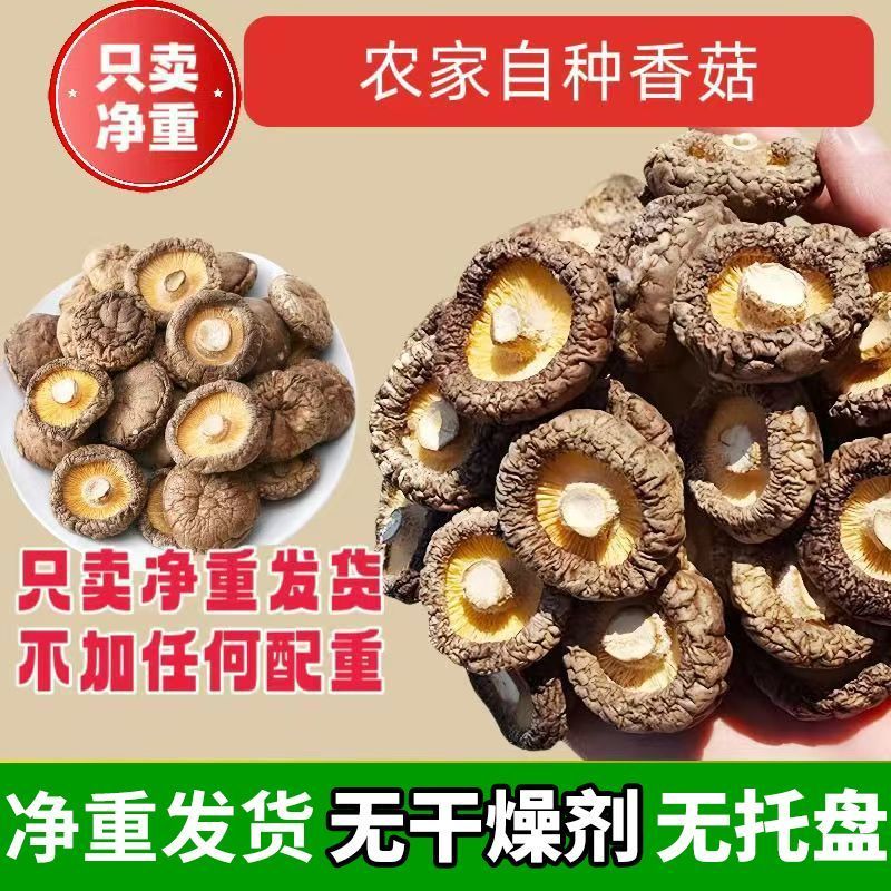 香菇无干燥剂肉厚香菇新货干香菇冬菇干蘑菇精选香菇短根