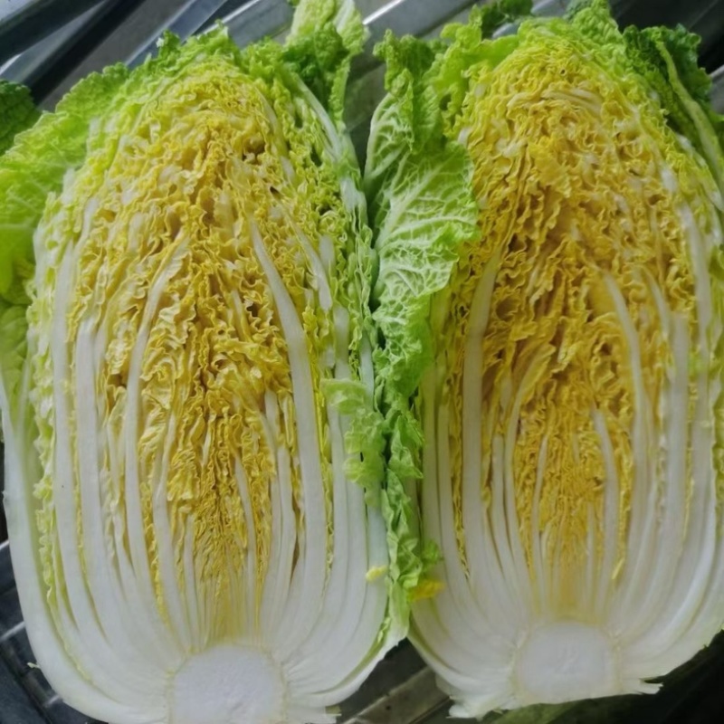 陆地黄心大白菜
