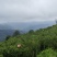 湘西高山云雾绿茶，红茶，电话和微***********