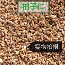 柏子仁产地中药材无壳柏籽仁去壳柏子仁茶中草药