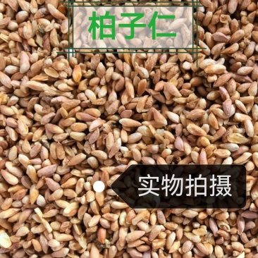柏子仁产地中药材无壳柏籽仁去壳柏子仁茶中草药