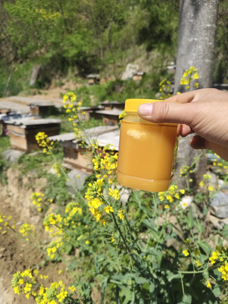 精品山林新产蜂蜜农家土蜂蜜品质上乘欢迎老板咨询。