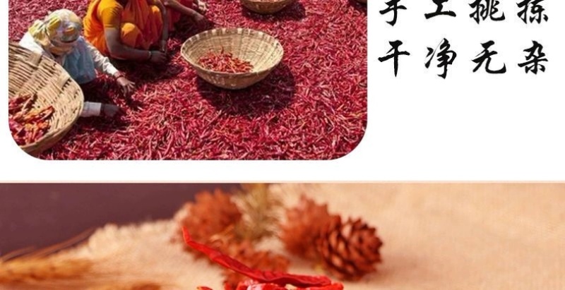 印度魔鬼椒批发干辣椒超香香辣特干整个变态辣香料