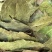 香叶/土耳其进口香叶/精选好货/量大可商议，全国包邮