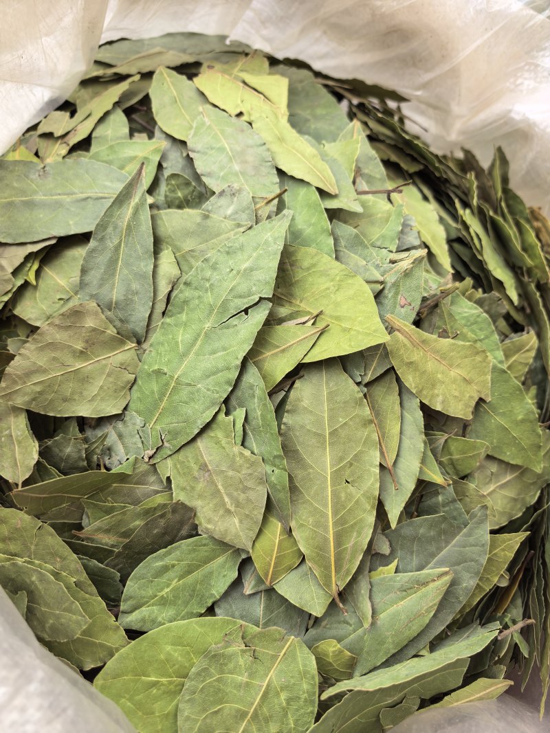 香叶/土耳其进口香叶/精选好货/量大可商议，全国包邮