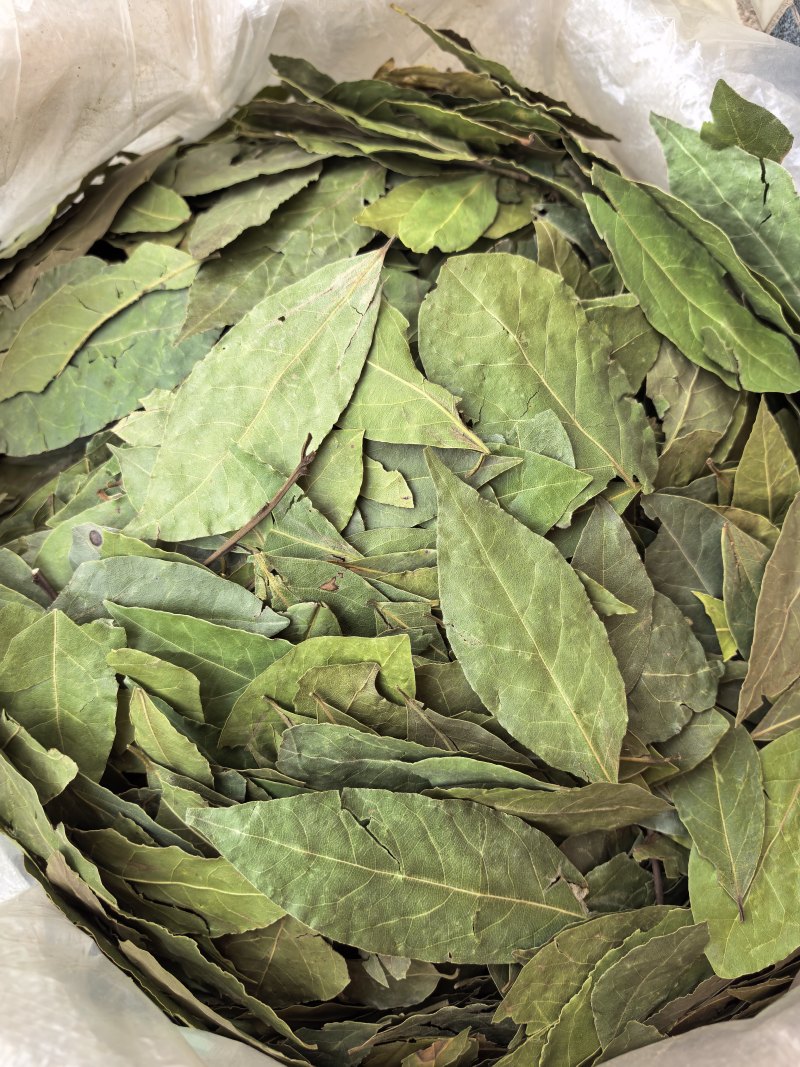香叶/土耳其进口香叶/精选好货/量大可商议，全国包邮