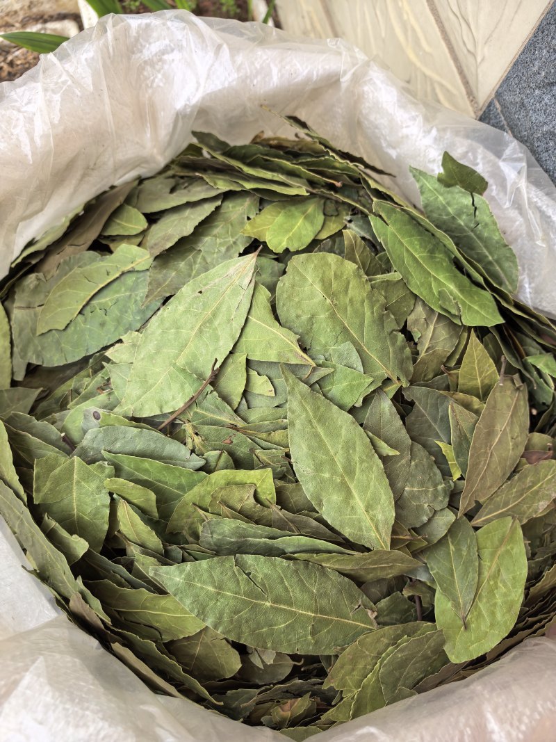 香叶/土耳其进口香叶/精选好货/量大可商议，全国包邮