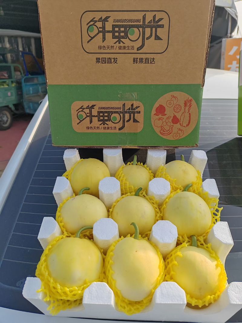 小蜜蜂甜瓜蜜罐星甜对接电商团购一件代发