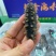 即食海参2.2只