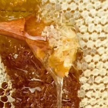贵州深山土蜂蜜，一口甜到心里，天然好蜜别错过。