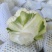 蔬菜