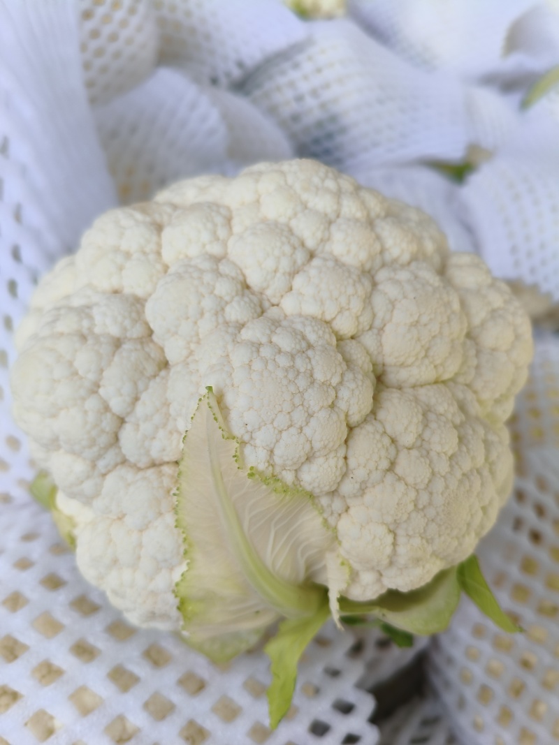 蔬菜