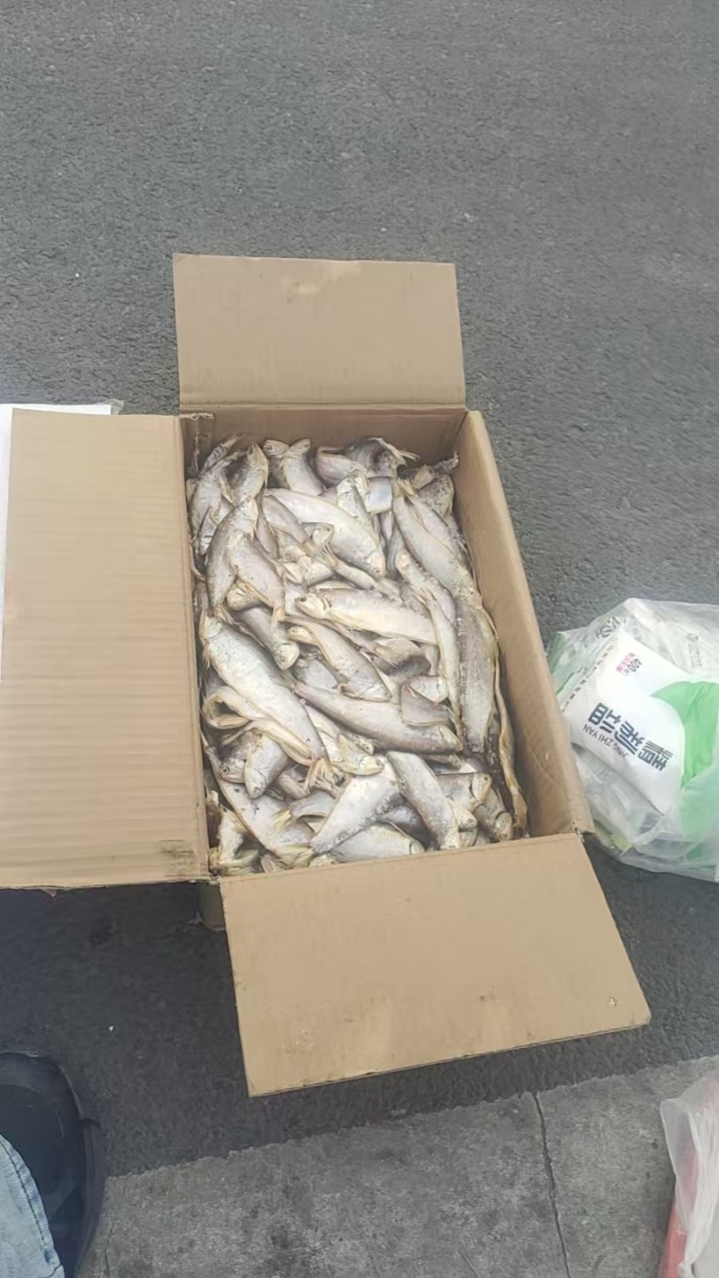 咸马口鱼整箱批发，一箱10斤，一件代发欢迎咨询下单