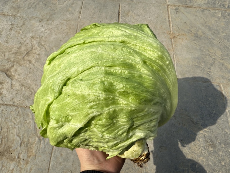 有需要的联系