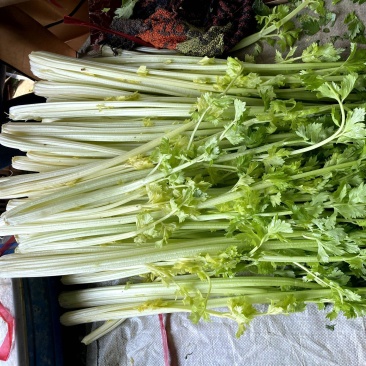 桂河芹菜