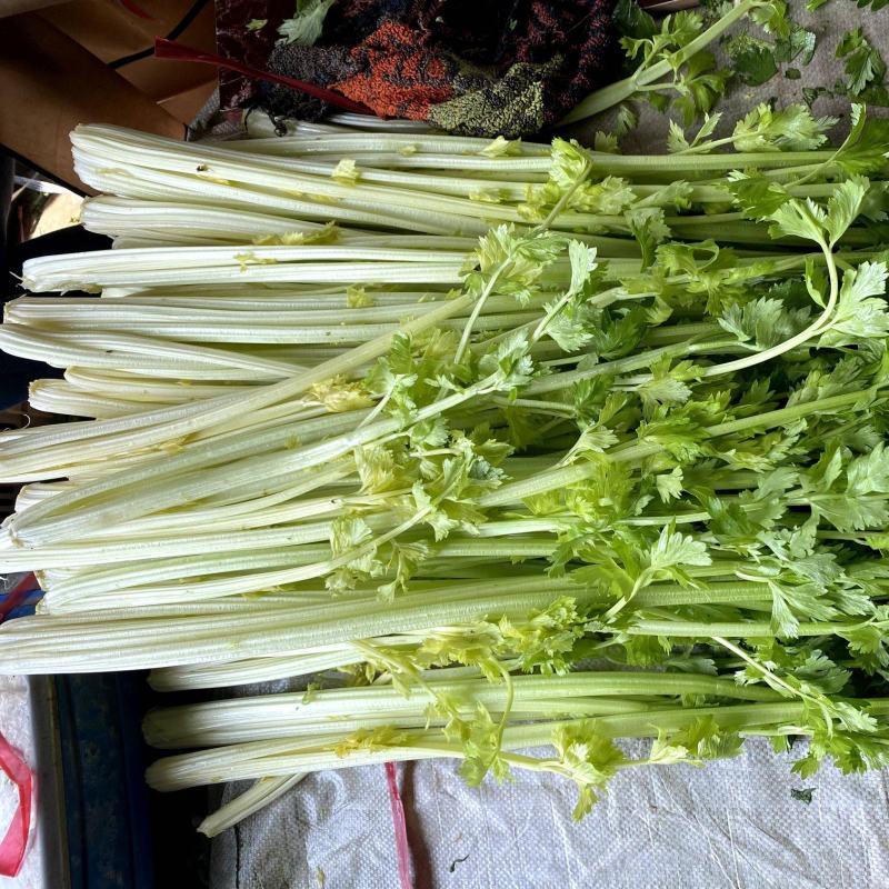 桂河芹菜