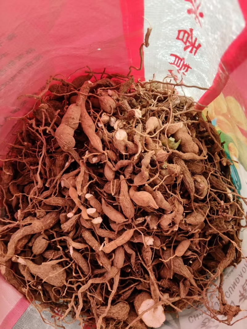 金果榄地苦胆绿消中药材黄灵参凤凰丹吊葫芦九牛胆批发大量