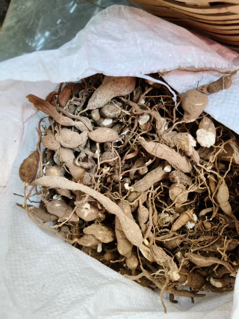 金果榄地苦胆绿消中药材黄灵参凤凰丹吊葫芦九牛胆批发大量