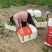 空心菜大量供应品质优新鲜可视频看货欢迎咨询来电