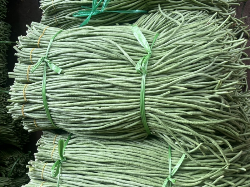 长豆角/豇豆，青条豆角，产地直发