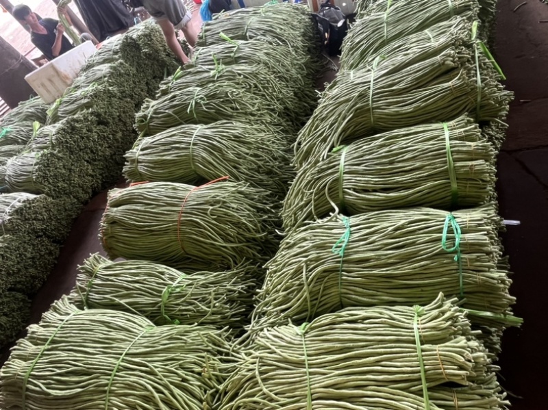 长豆角/豇豆，青条豆角，产地直发