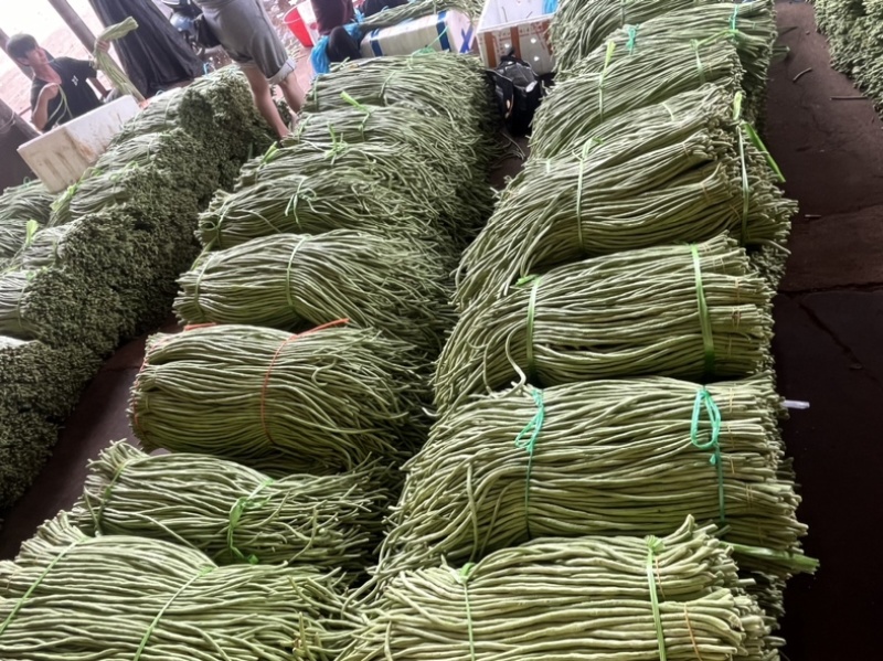 长豆角/豇豆，青条豆角，产地直发
