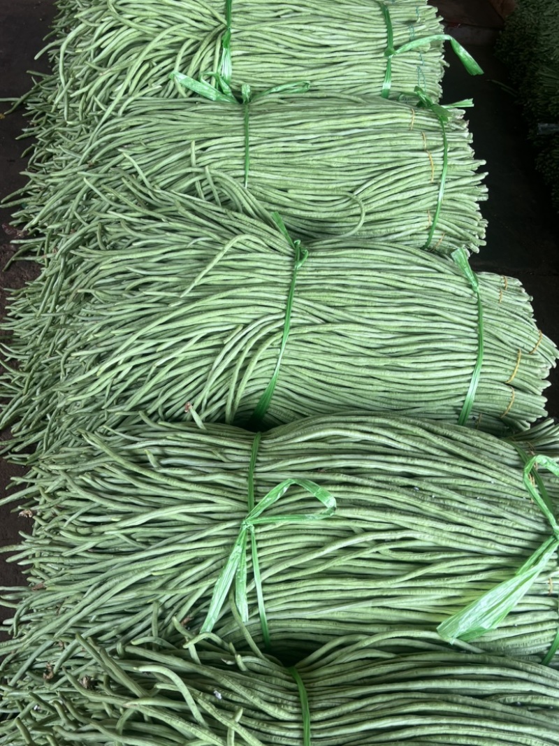 长豆角/豇豆，青条豆角，产地直发