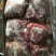 【军哥猪肉】冷冻后腿肉商用猪腿肉，用过的都知道批发包邮