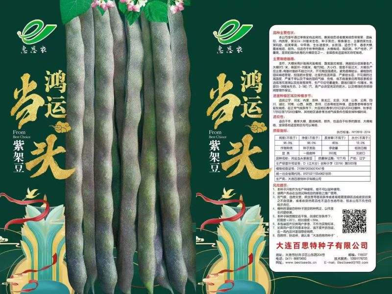 白不老豆角产地直发，需要者联系！