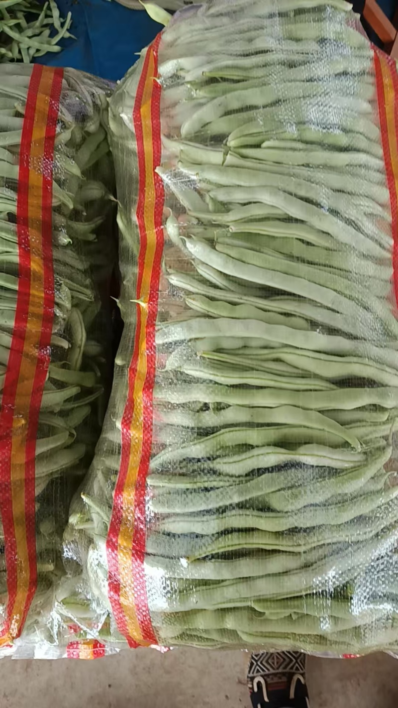 白不老豆角产地直发，需要者联系！