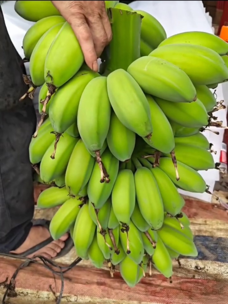 苹果蕉产地直供对接全国保质保量欢迎采购