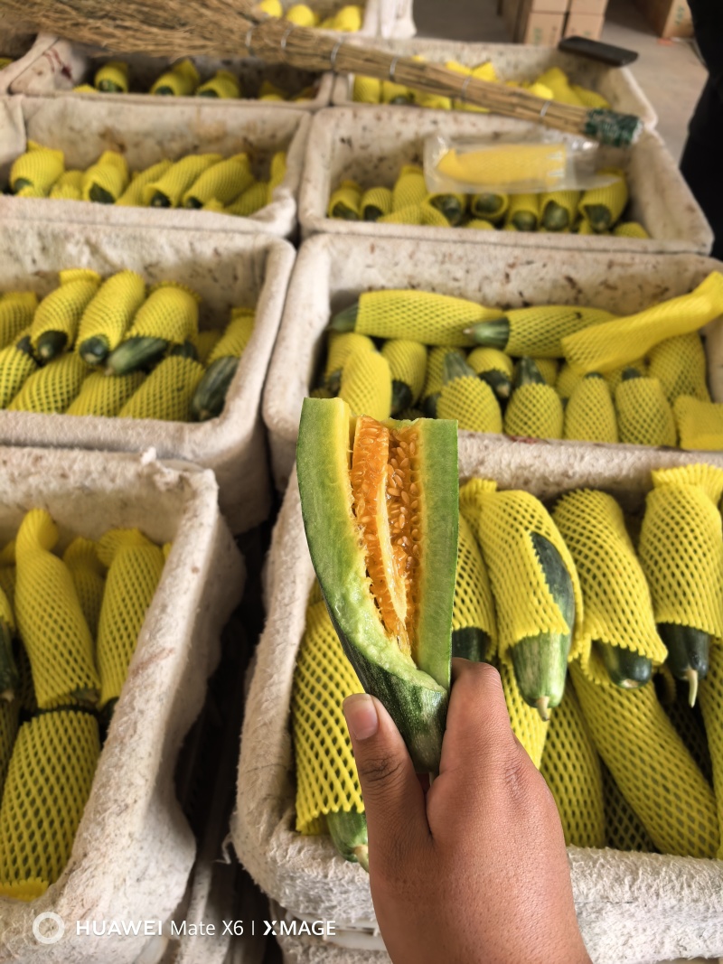 山东精品羊角蜜甜瓜产地大量上市承接电商市场一件代发