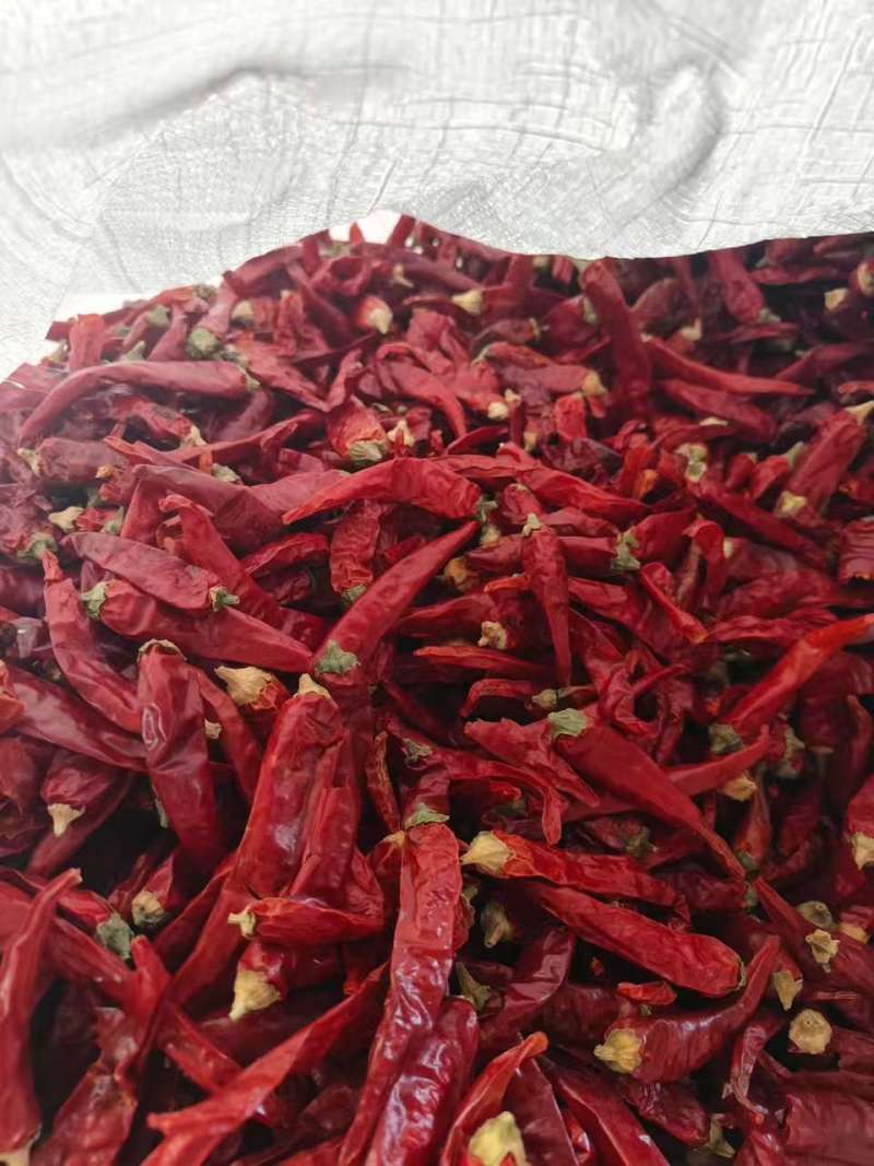 【推荐】河南干辣椒/小米辣/视频看货/对接全国/电询