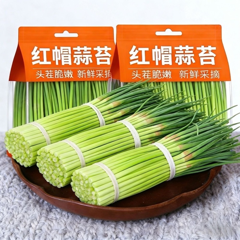 山东产地精品红包，蒜苔大量上市现采现摘